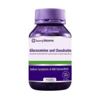 Henry Blooms Glucosamine and Chondroitin 90 Capsules