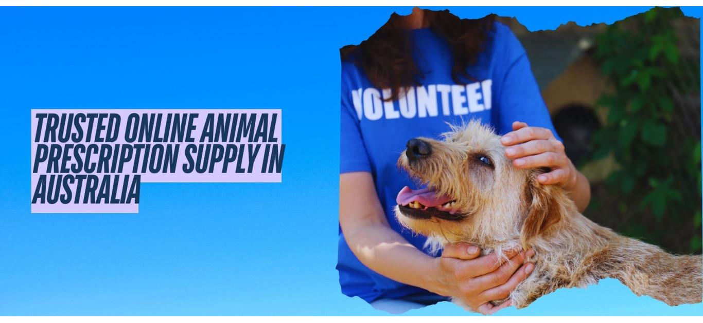 Trusted Online Animal Prescription Supply in Australia