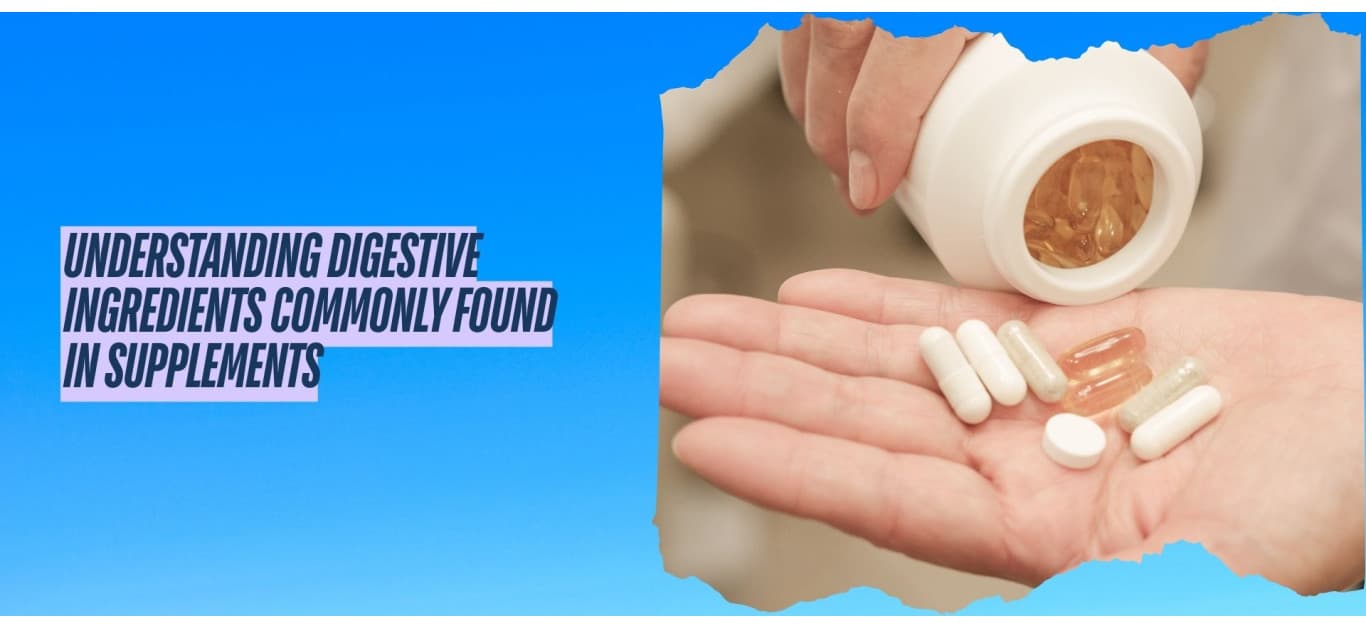Understanding Digestive Ingredients Commonly Found in Supplements
