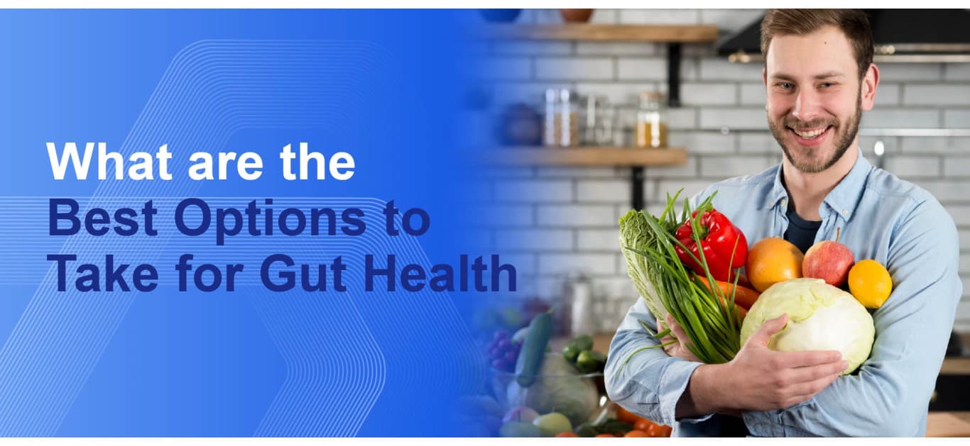 What are the Best Options to Take for Gut Health 