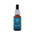 Australian Bush Flower Essences Creative Essence 30ml