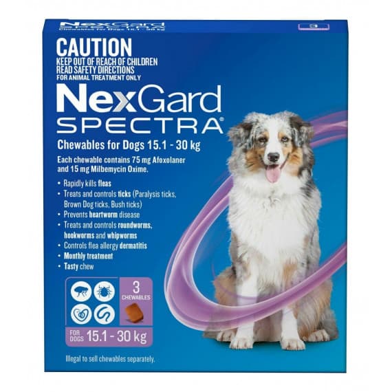 Buy Nexgard Spectra Chewables For Large Dogs 15.1 30kg Purple 3 Pack Online Pharmacy Direct AU