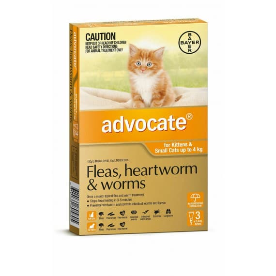 Advocate for Small Cats 3 Pack - Flea & Worm Protection Online at Pharmacy Direct