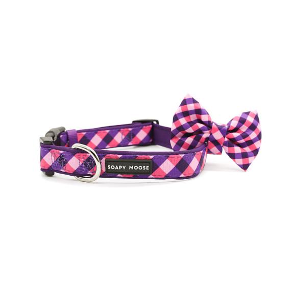Buy Soapy Moose Dog Collar Extra Small The Fashionista Online Pharmacy Direct AU