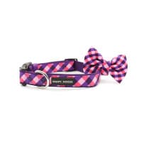Soapy Moose Dog Collar Small The Fashionista
