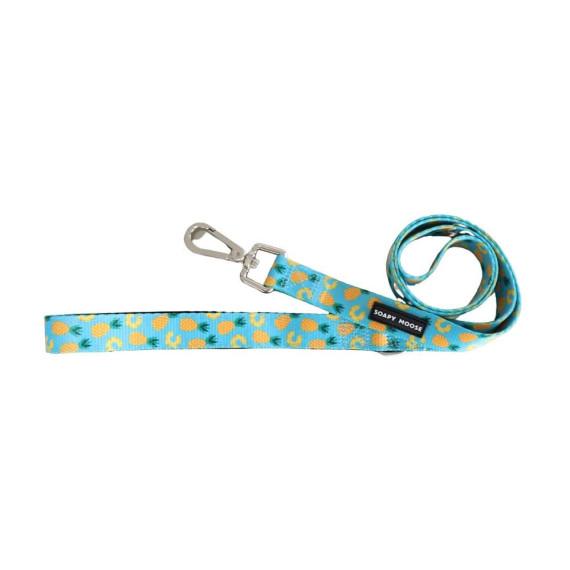 Soapy Moose Lead Thin Pineapple Slices for pets available at Pharmacy Direct – strong and stylish