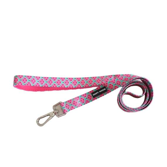 Soapy Moose Lead Thin Hot Pink Watermelon for stylish dog walks – Pharmacy Direct pet accessory
