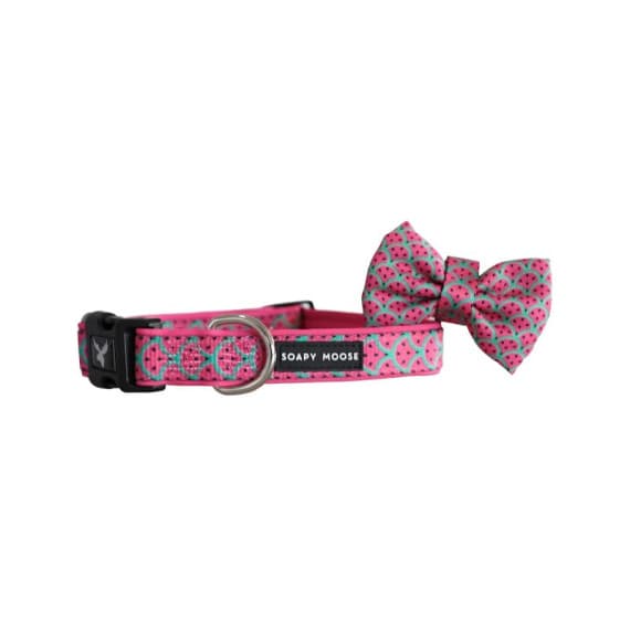 Soapy Moose Dog Collar Medium Hot Pink from Pharmacy Direct – Pet Accessories