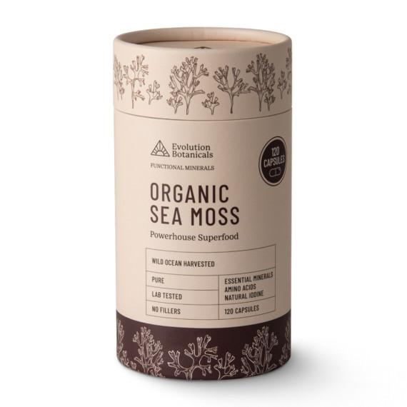 Evolution Botanicals Organic Sea Moss 120 Capsules for immunity and vitality - Pharmacy Direct