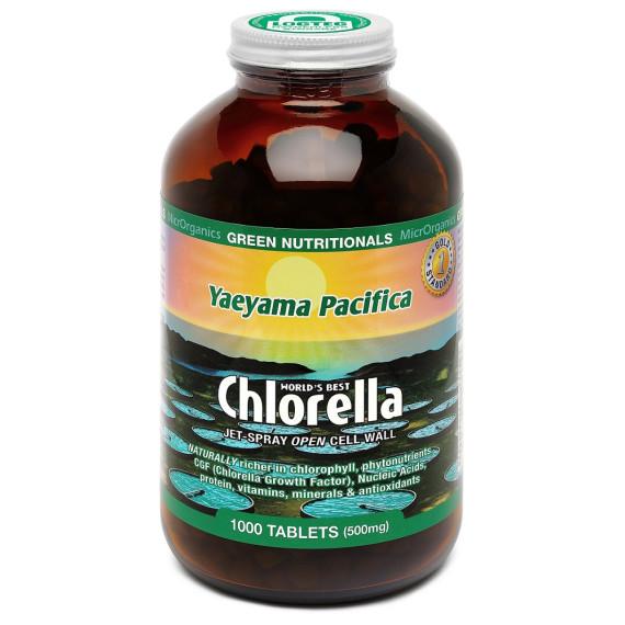 Green Nutritionals Chlorella 1000 Tablets for detox and energy boost – Shop at Pharmacy Direct