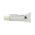 Lignocaine Gel 2 Percent 20g