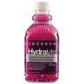 Hydralyte Ready To Use Electrolyte Solution Apple Blackcurrant 1 Litre