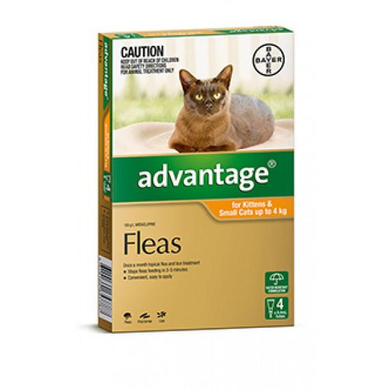 Advantage Cat 0 to 4kg 4 Pack