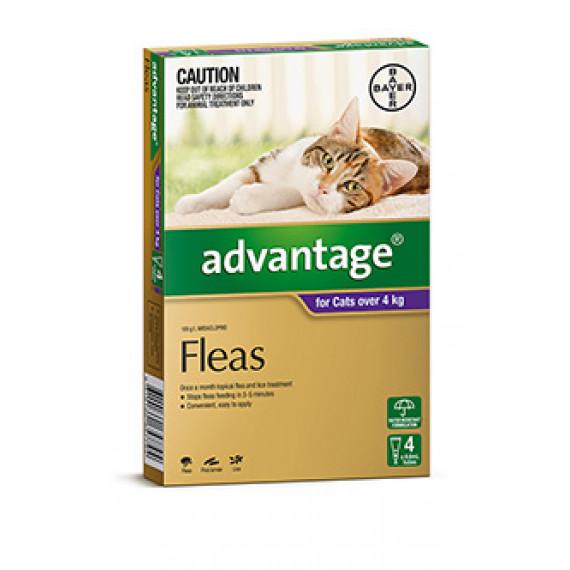 Advantage Cat 4kg Plus 4 Pack