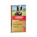 Advantix For Large Dogs 10 to 25kg 3 Pack