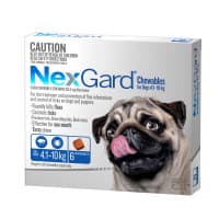 Nexgard Chewables for Small Dogs 4.1 to 10kg Blue 6 Pack