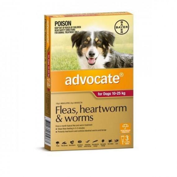Advocate For Dogs 10 to 25kg 3 Pack