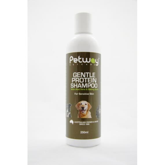 Petway Gentle Protein Shampoo 250ml