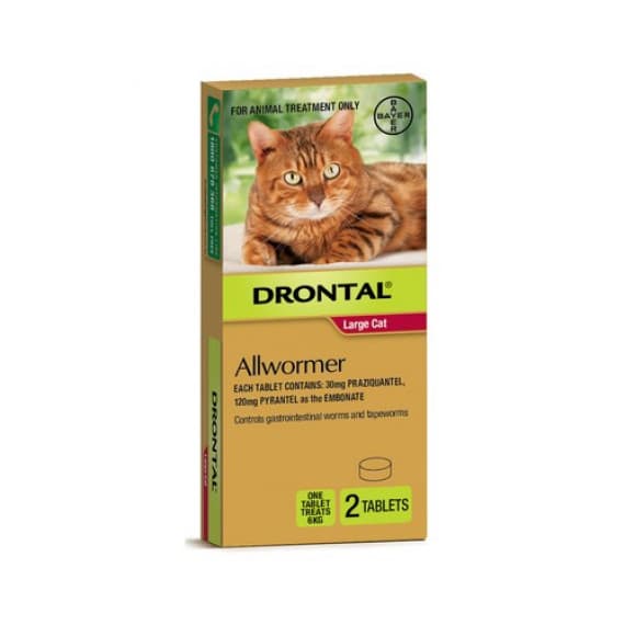 Drontal Cat Allwormer 6kg 2 Tablets - Worm Protection - Pharmacy Direct