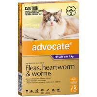 Advocate For Large Cats Over 4kg 6 Pack