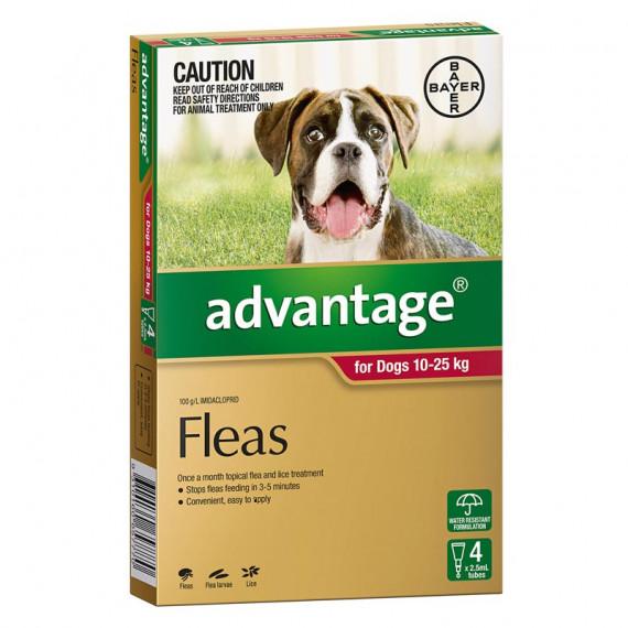 Advantage For Dogs 10 to 25kg 4 Pack