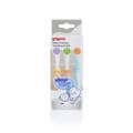 Pigeon Training Toothbrush Set 123